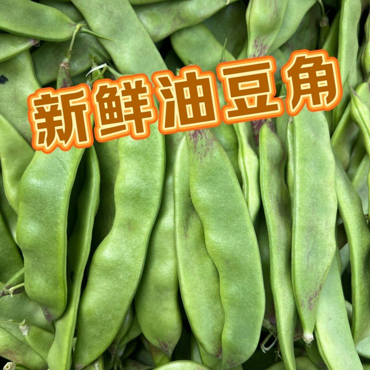 【手选】一点红油豆角大油豆开锅烂新鲜蔬菜当季扁豆豆角现摘现发图片