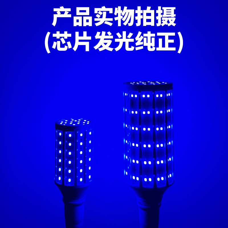 超亮蓝色光led玉米灯泡直播装饰酒吧店公园绿化景观植物E27螺口球