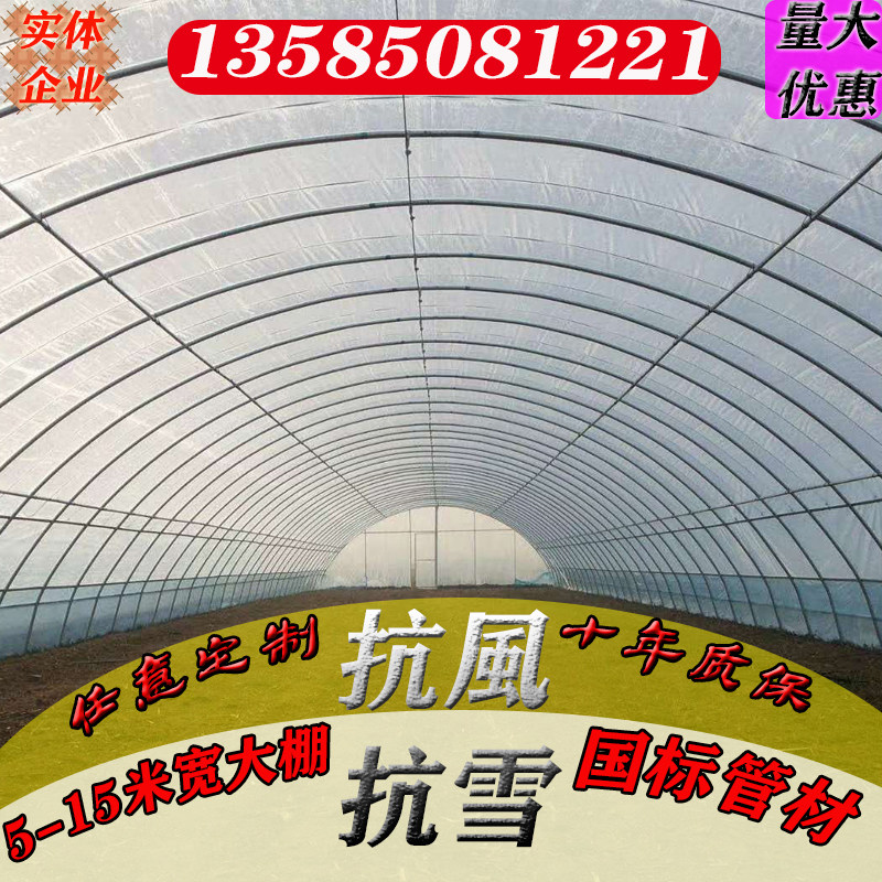 肩并肩简易蔬菜温室大棚双层插地包塑热镀锌椭管养殖骨架钢管种植