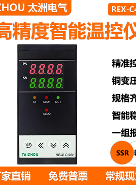 太洲电气 C400 REXD-C4181D 配固态数显智能温控仪 电加热温控器