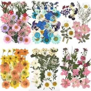 1 Pack Dried Flowers UV Resin Natural Flower Stickers Dry Be