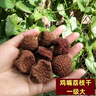 广西特产荔枝干核小肉厚500g一级鸡嘴荔枝干货非糯米糍妃子笑高州