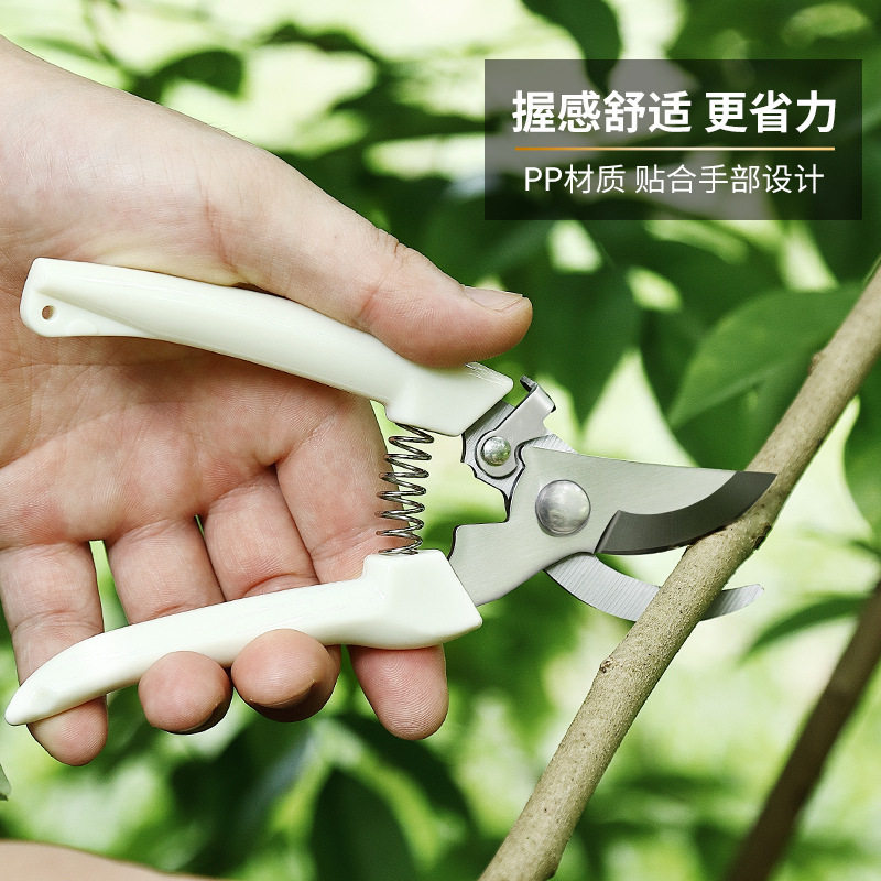 专用不锈钢强力园林园艺修枝剪清仓家用省力修花修剪树枝花艺剪刀