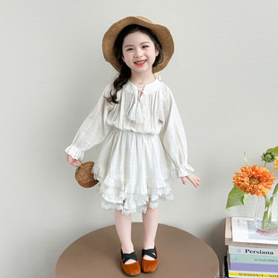 女童春秋季连衣裙2026新款儿童洋气不规则裙子小女孩高级感蛋糕裙