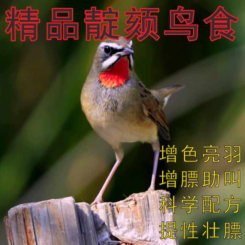 靛颏鸟食饲料红蓝靛颏换羽料颗粒面食料增色提性壮膘精品崛起商贸