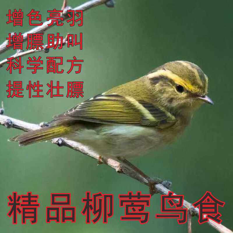 精品柳莺鸟食饲料换羽料手工食颗粒料面食崛起商贸