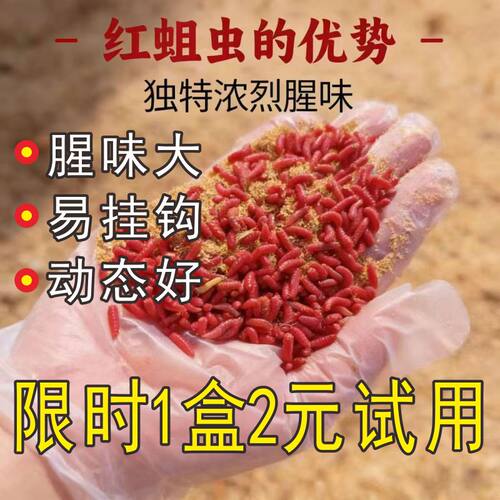 鲜活红蛆虫活饵包活到家