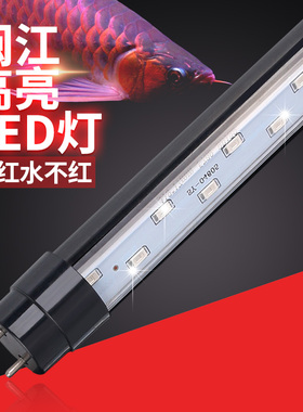闽江森森鱼缸灯水族箱多色LED灯管三基色龙鱼灯超亮防水照明灯管