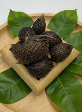 【千丝菩提】九狐尾椰果 豆荚娃娃果壳种子风铃DIY天然装饰材料