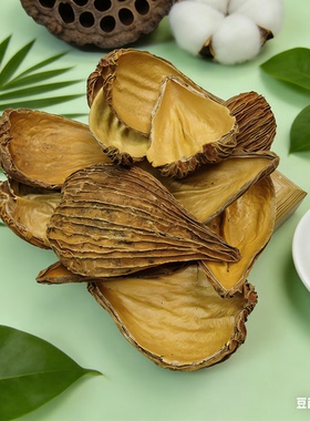 【油画莲】油画莲 豆荚娃娃果壳种子风铃DIY天然装饰材料