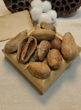 【洋梨果】 流星壳、开口笑豆荚娃娃果壳种子风铃DIY天然装饰材料
