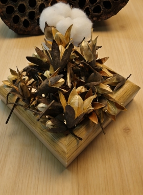 【香椿花】香椿花 豆荚娃娃果壳种子风铃DIY天然装饰材料