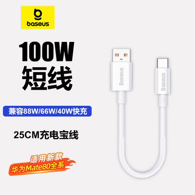 倍思Type-C短充电线100W/88W
