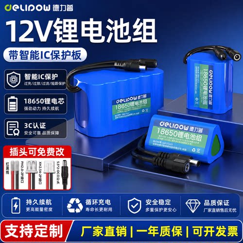 3C认证】德力普12v锂电池组电源