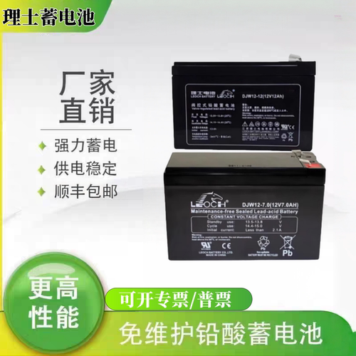巨人通力电梯消防主机理士蓄电池