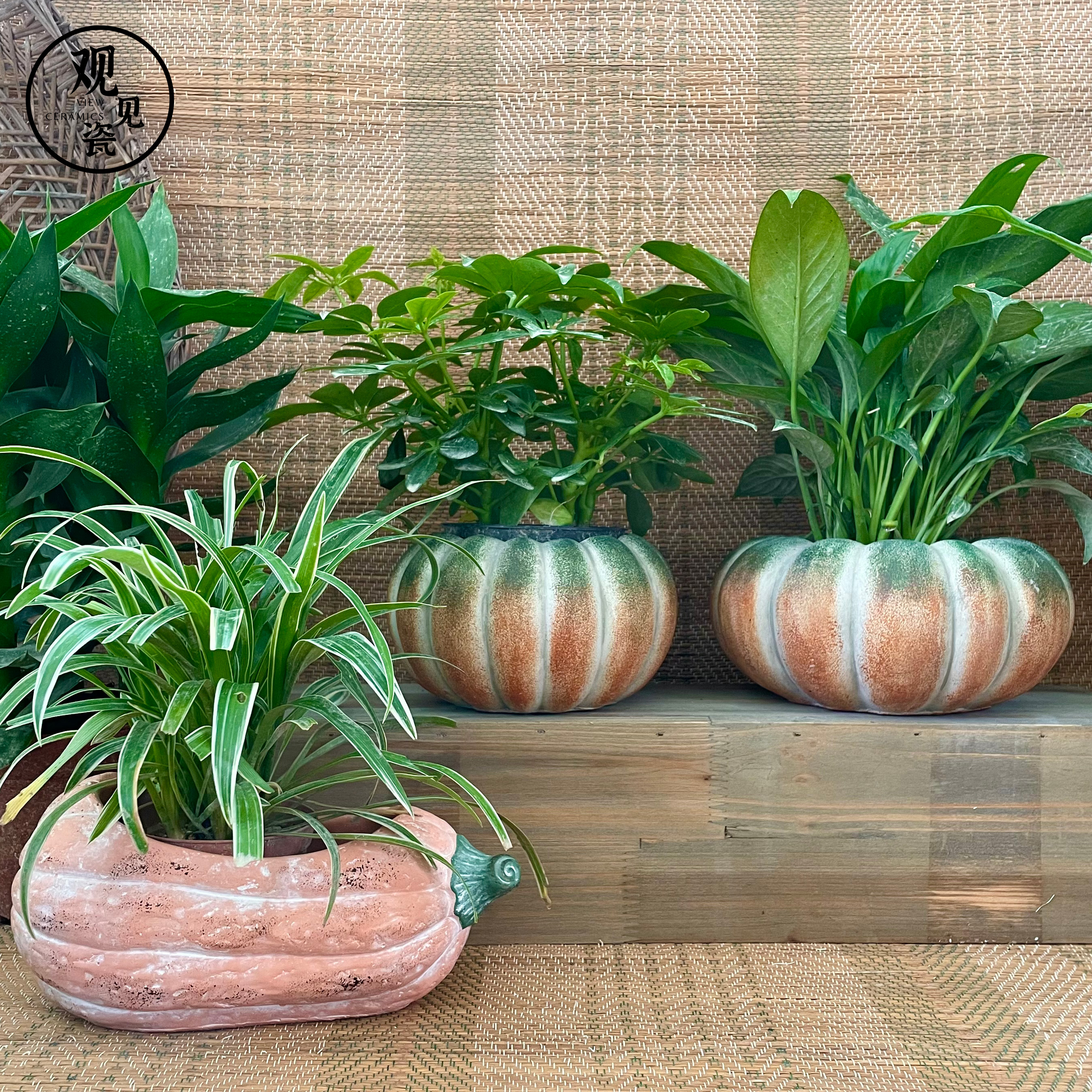 潮州14年老店仿真南瓜水泥花盆新