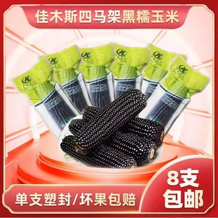 桦川四马架黑糯玉米佳木斯黑土昊民新鲜甜糯苞米健康轻食8根包邮