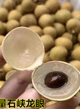 龙眼新鲜桂圆水果现摘现发货储良石硖特大广西6整箱顺丰包邮10