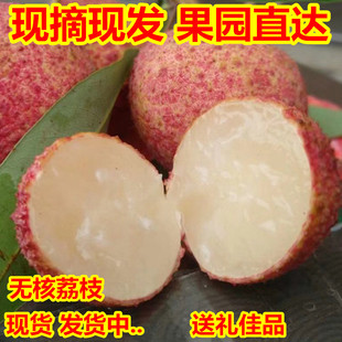 果园直达无核荔枝5斤果大广西无新鲜水果籽王孕妇整箱顺丰包邮