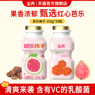 宜养芭乐梅子多乳酸菌饮品100g*20瓶聚餐饮料清爽解腻益生菌发酵