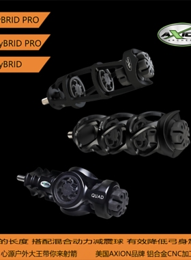 A牌AXION减震杆Envy Pro Hybrid5.5寸减震DNA QUAD复合弓避震