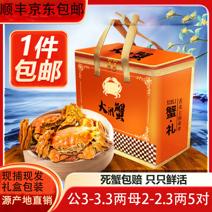 大闸蟹鲜活水产10只活蟹礼盒公蟹淡水螃蟹空运可全母湖顺丰空运