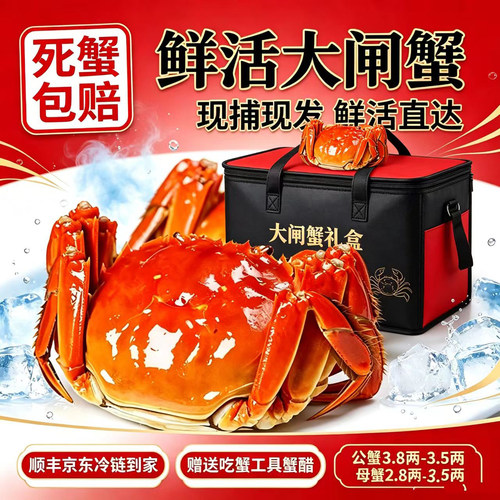 全母2.8两大闸蟹特大鲜活水礼盒包装产活蟹礼盒淡水螃蟹顺丰京东