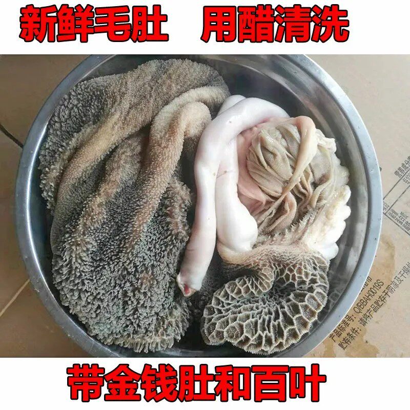 新鲜生黑羊肚毛肚金钱肚商用批发