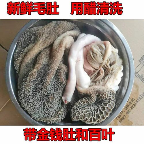 新鲜生黑羊肚毛肚金钱肚商用批发