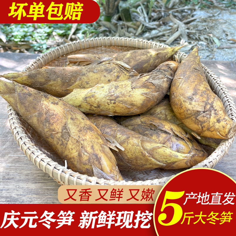 庆元高山冬笋新鲜现挖野生竹笋农家楠竹黄泥冬笋毛竹泥下笋去老根