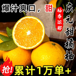 庆元甜桔柚25年新鲜甜橘柚正宗桔柚现摘橘柚10斤礼盒装非建阳桔柚