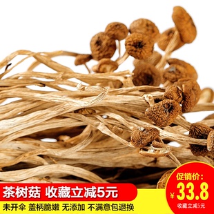 新鲜茶树菇干货250g半斤装茶薪菇菌菇农家自产不开伞包邮香菇