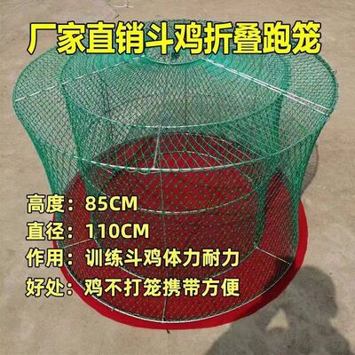 斗鸡折叠跑笼斗鸡笼子斗鸡训练耐力笼子斗鸡笼