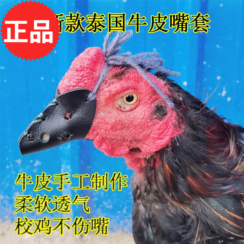 斗鸡嘴套斗鸡护具斗鸡训练用品皮嘴套斗鸡脚套