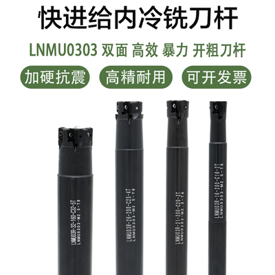 LNMU03R快进给内冷铣刀杆