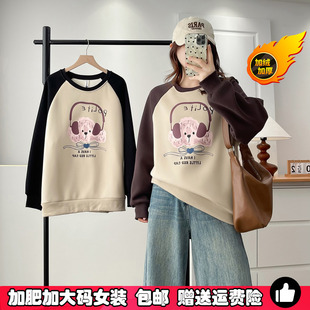 胖mm200斤大码 设计感撞色插肩卫衣女秋冬宽松慵懒风加绒拼接上衣