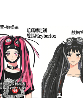 暗码牌-赛博发型示范图赛博哥特Cyberlox fall假发cos漫展头饰