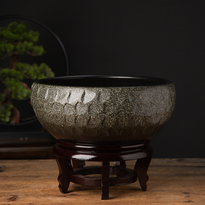 观背青鱂鱼陶瓷金鱼缸