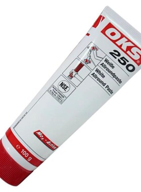 ERSA多功能耐高温齿条油210939 211218