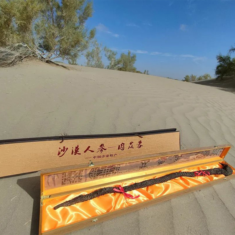 民勤青土湖野生肉苁蓉锁阳中药材沙漠人参正品整根肉苁蓉切片泡酒