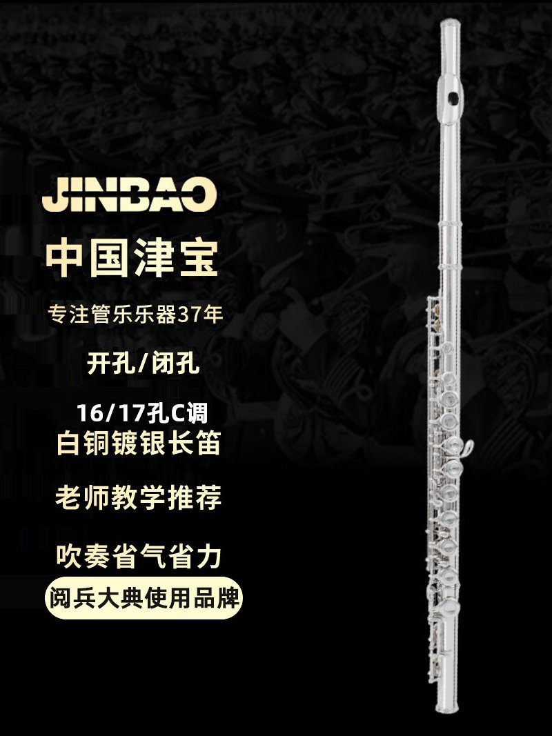津宝长笛乐器C调16孔曲列17孔直列附E键法式按键镀银学生初学专业