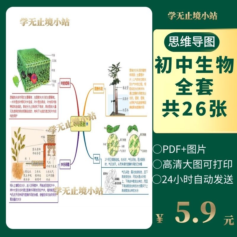初中生物思维导图章节知识点电子版可打印快速记忆学习中考考点资