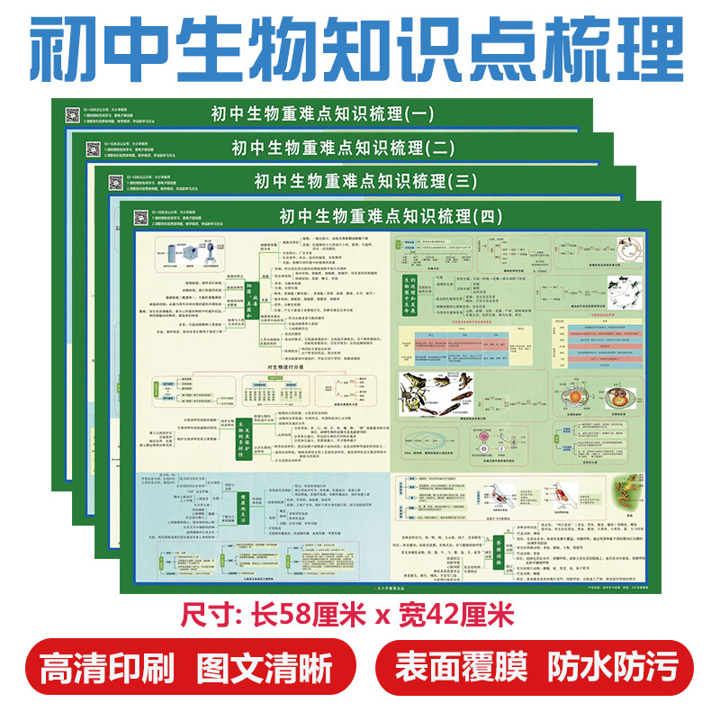 初中全科知识点挂图人教版9科