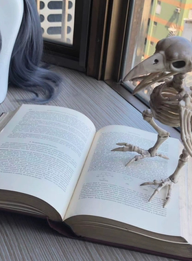 老外文书道具摆设摄影装饰拍摄复古怀旧艺术旧书手老版书硬皮书