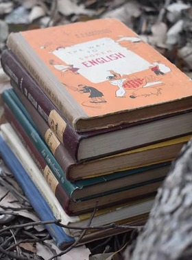 英文书硬皮精装书欧式复古烫金外文书书房样板房真书道具一本