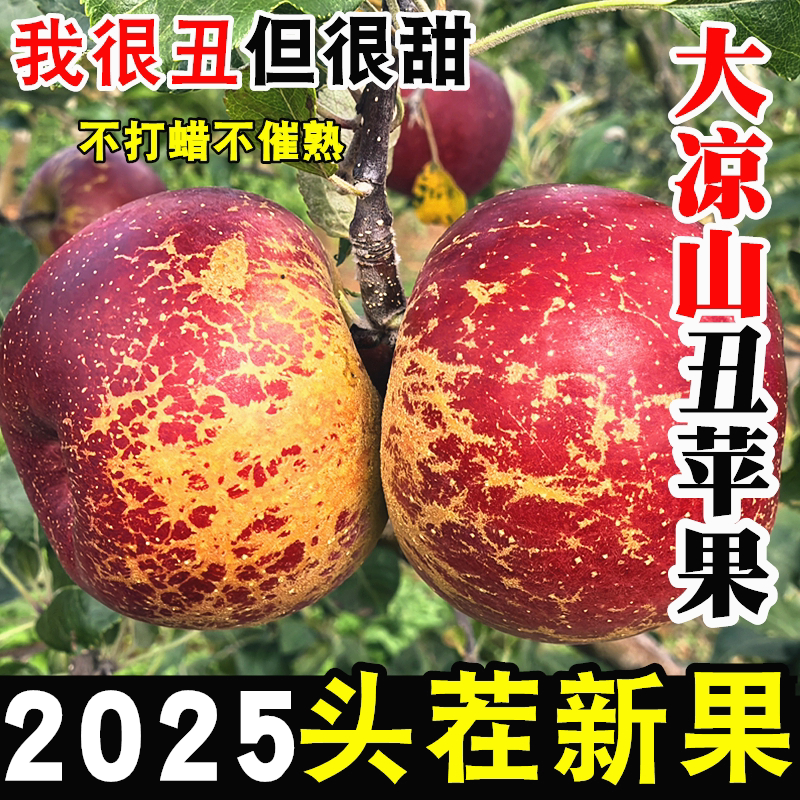 正宗四川大凉山盐源冰糖心丑苹果当季新鲜水果整箱10斤包邮野生果
