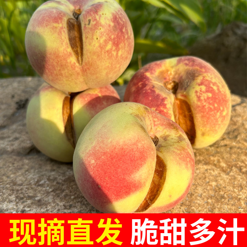 冬桃山东脆桃沂蒙山桃子金秋红蜜