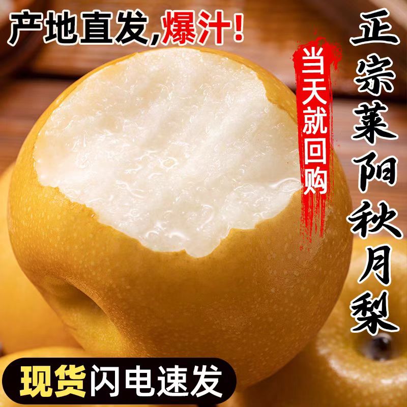 正宗山东莱阳秋月梨新鲜梨子当季水果现摘现发雪蜜梨整箱雪梨包邮