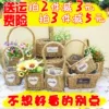 Товары от 润爱花艺生活馆