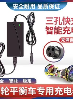 适各类平衡车充电器锂36V42V54V63v三孔9号四孔插头原装通用带线